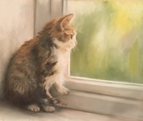 Pastel painting kitten looking out window