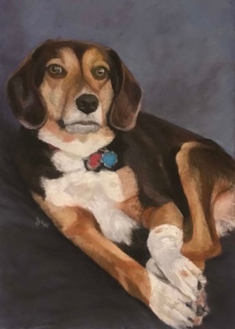 Pastel painting Beagle
