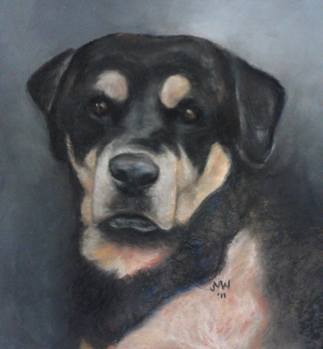 Pastel painting Rottweiler