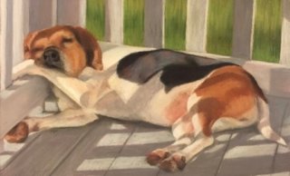 Pastel painting Beagle sleeping