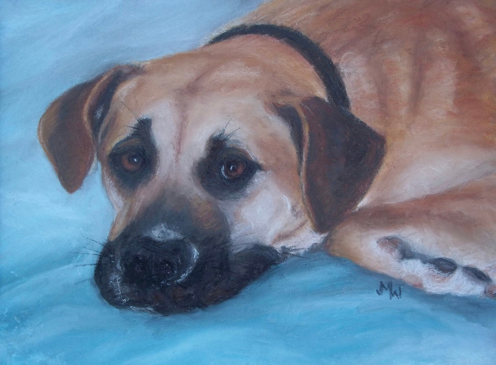 Pastel painting dog