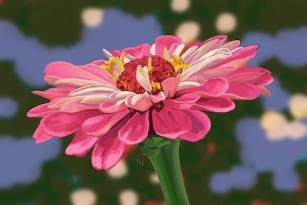 Single pink zinnia with blurred green and blue background